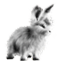 <img:stuff/EasterBulletBunSilverRev.png>