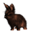 <img:stuff/EasterBulletBunSunburntBlk.png>