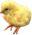 <img:stuff/EasterBulletChick-3TinyRev.png>