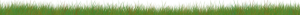 <img300*15:stuff/GrassDiv.png>