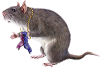 By*Artsie_ladie* <Rimg100*0:stuff/MouseW-chewedsocks200.png>