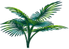 <img100*0:stuff/TropicalPlant2Med.png>