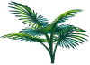 <img100*0:stuff/TropicalPlant2Med_rev.png>